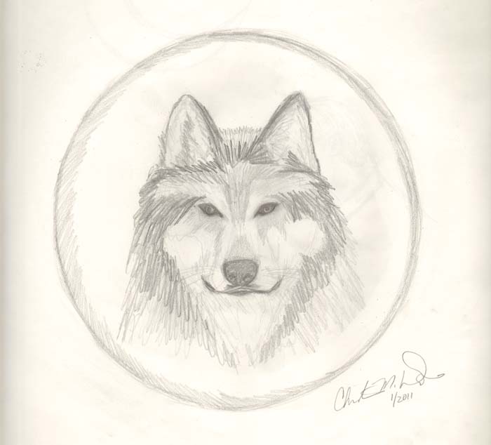 Wolf Moon by Christina Davis